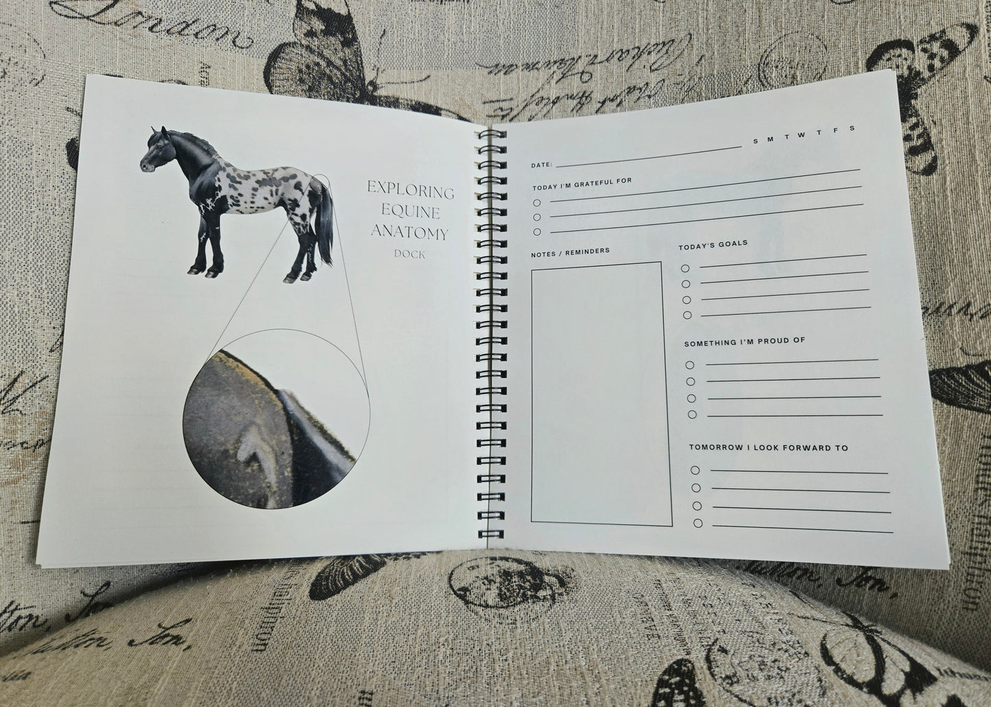 Equine Anatomy Journal