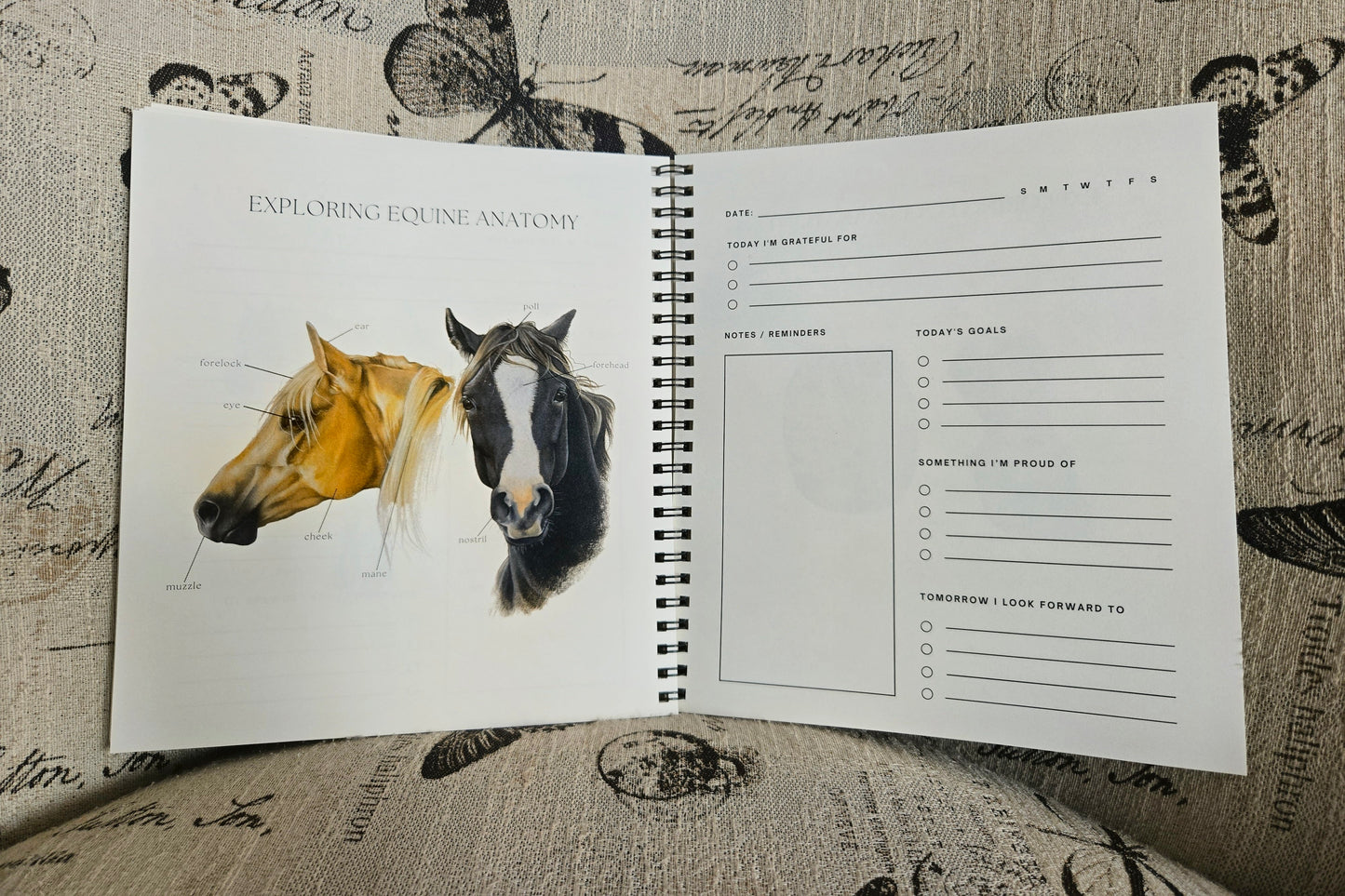 Equine Anatomy Journal